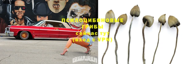 MESCALINE Пролетарск