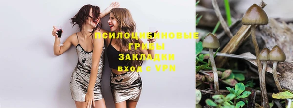 дживик Ростов