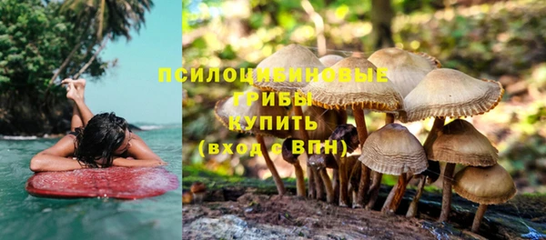 дживик Ростов