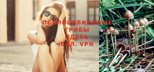 дживик Ростов