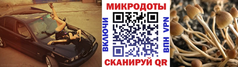 Псилоцибиновые грибы мицелий OMG рабочий сайт Кирс мориарти телеграм даркнет сайт
