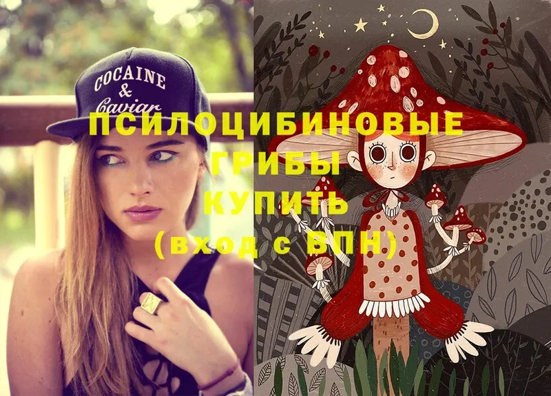 купить   Кирс  Псилоцибиновые грибы Magic Shrooms 